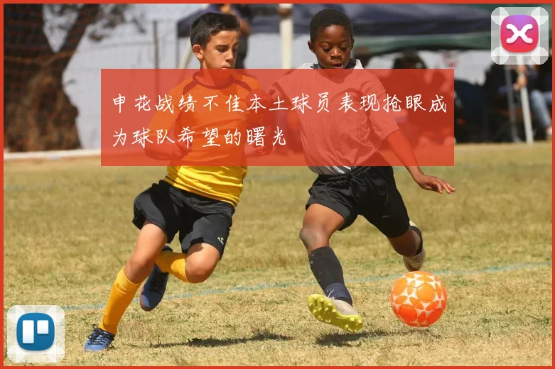 申花战绩不佳本土球员表现抢眼成为球队希望的曙光