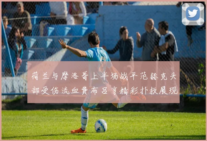 荷兰与摩洛哥上半场战平范赫克头部受伤流血费布吕亨精彩扑救展现实力