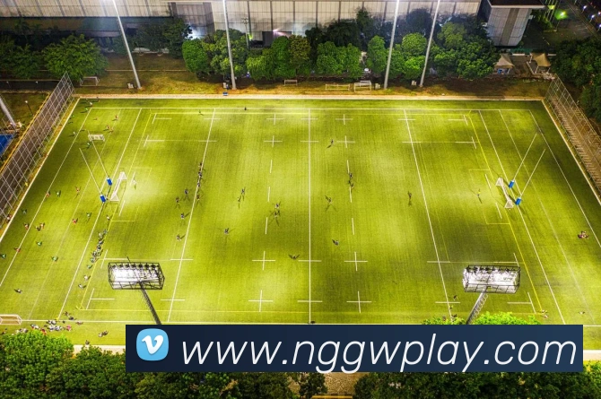 App Interface Preview