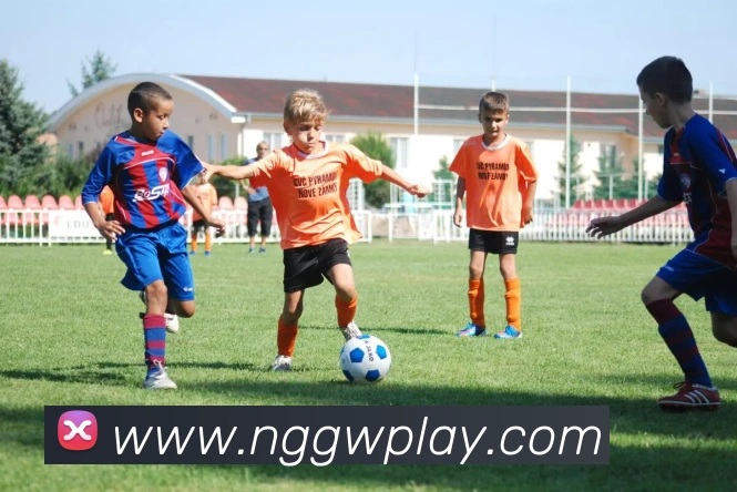 NG体育APP 封面图